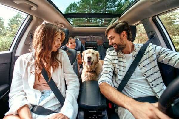 The whole family is driving for the weekend. Mom and Dad with their daughter and a Labrador dog are sitting in the car. Leisure, travel, tourism.