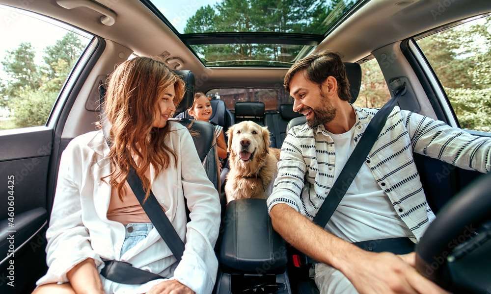 The whole family is driving for the weekend. Mom and Dad with their daughter and a Labrador dog are sitting in the car. Leisure, travel, tourism.